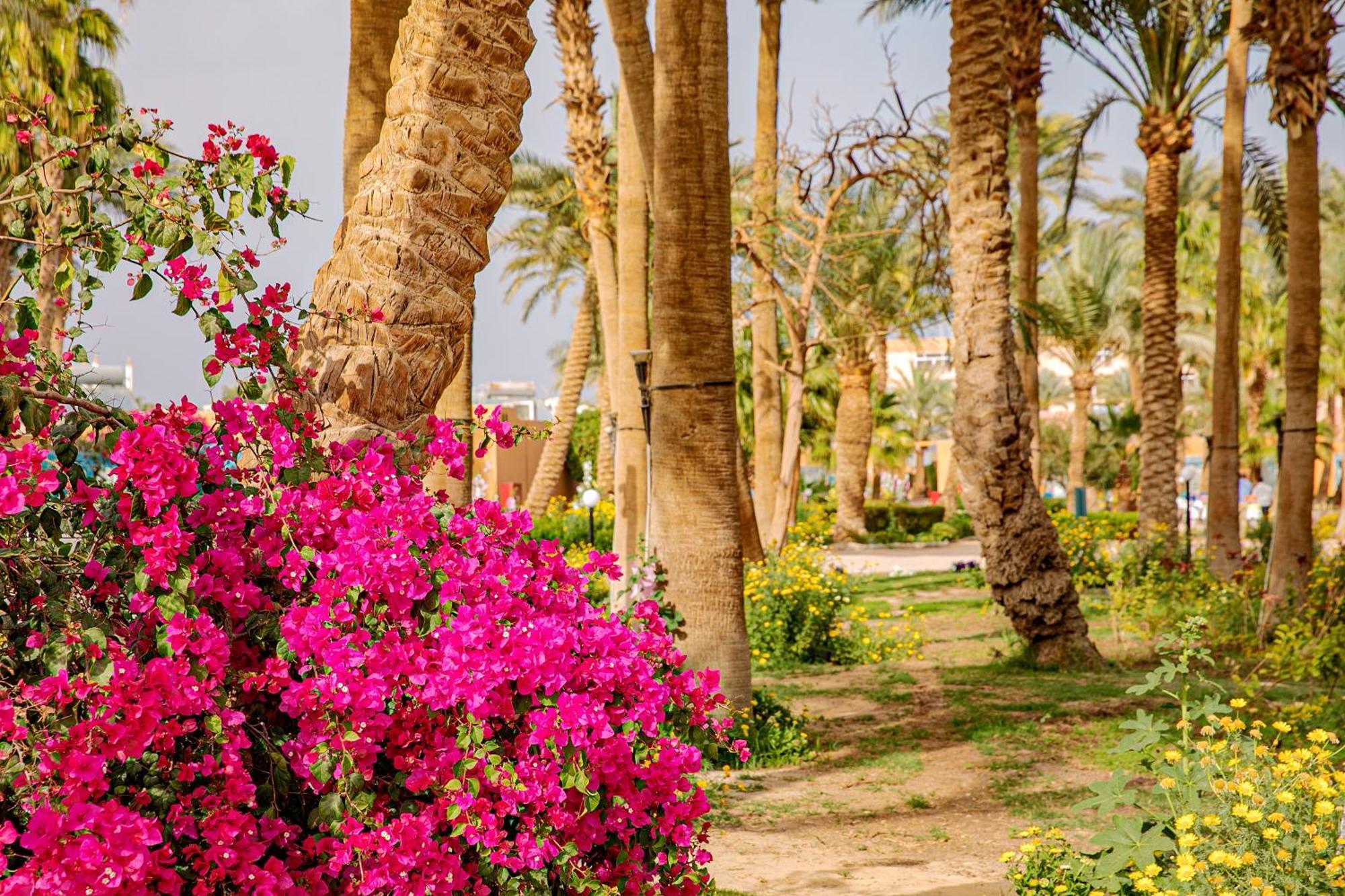 Giftun Azur Resort Hurghada Exterior photo