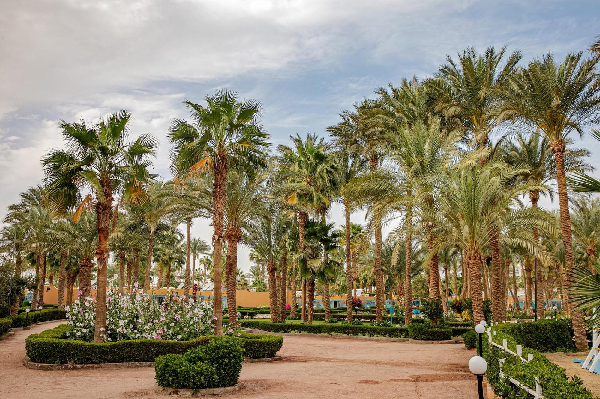 Giftun Azur Resort Hurghada Exterior photo