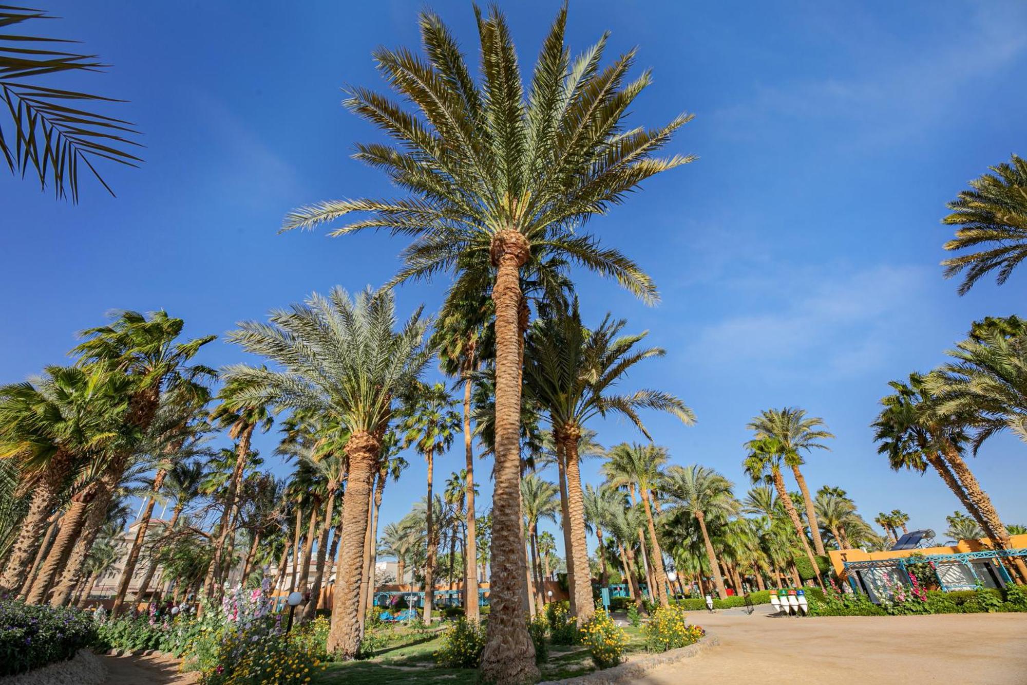 Giftun Azur Resort Hurghada Exterior photo